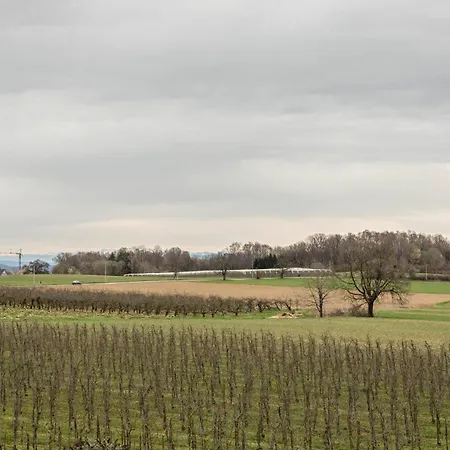 Ferien Am 11 * Friedrichshafen